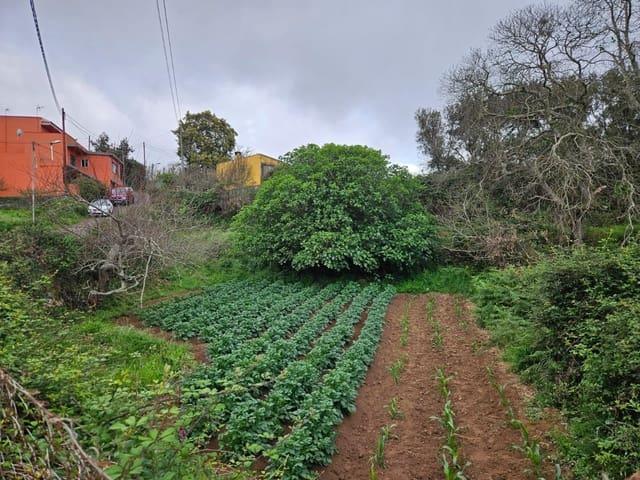 Solar/Parcela en venta en El Sauzal, Tenerife