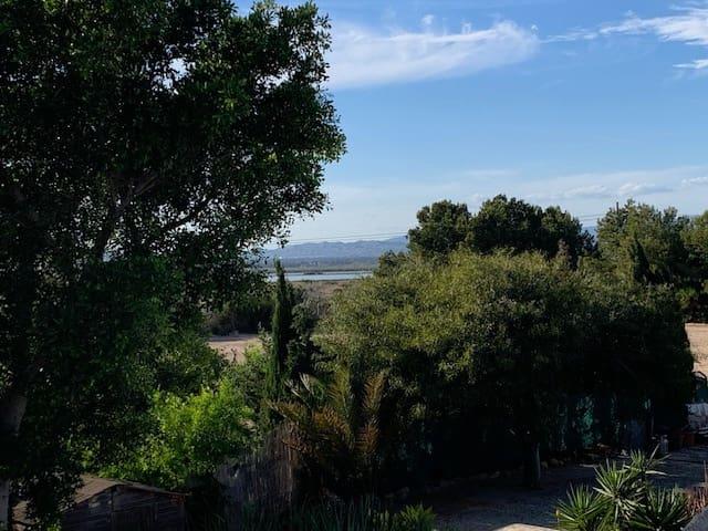 Solar/Parcela en venta en El Pinet, Alicante Costa Blanca