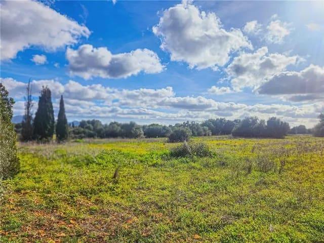 Solar/Parcela en venta en Felanitx, Mallorca