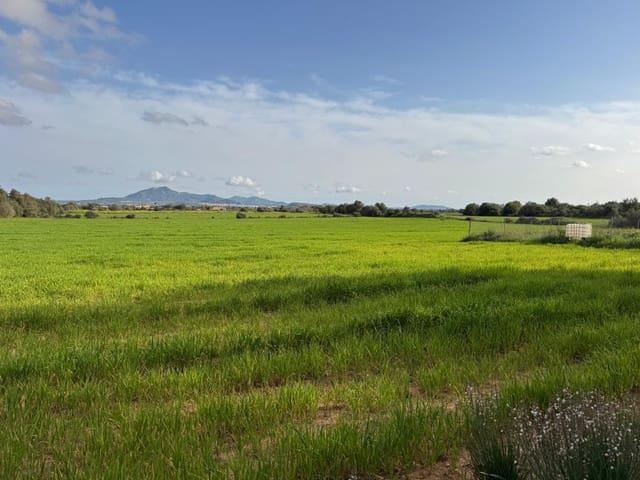 Solar/Parcela en venta en Felanitx, Mallorca