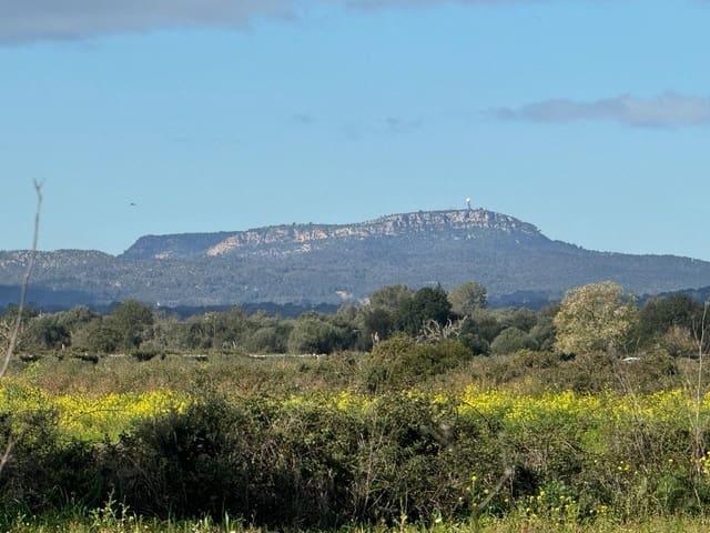 Solar/Parcela en venta en Felanitx, Mallorca