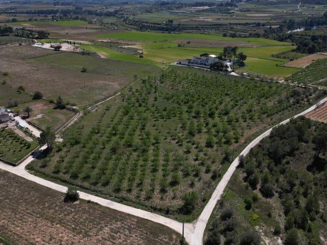 Solar/Parcela en venta en L'Olleria, Valencia