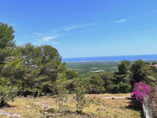 Solar/Parcela en venta en La Font d'En Carròs, Valencia Costa Valencia