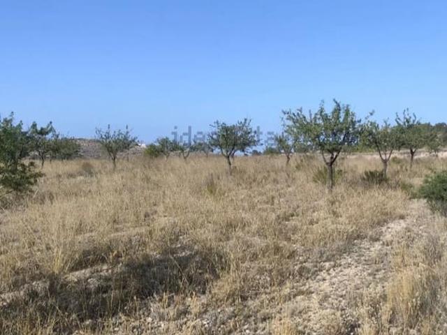 Solar/Parcela en venta en La Romana, Alicante