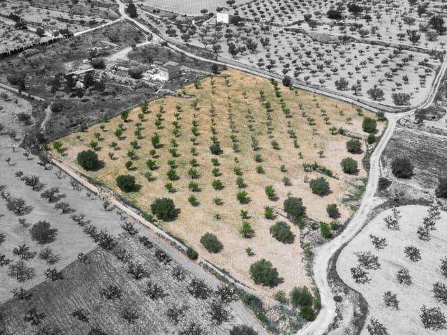 Solar/Parcela en venta en La Romana, Alicante
