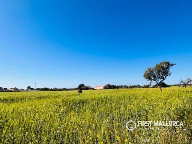 Solar/Parcela en venta en L'Horta / S'Horta, Mallorca