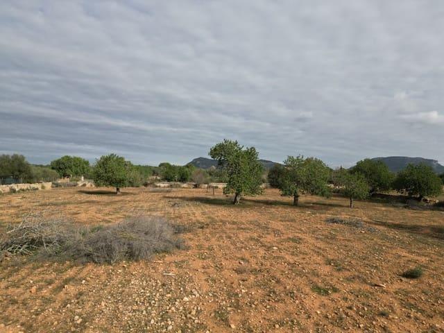 Solar/Parcela en venta en Llucmajor, Mallorca