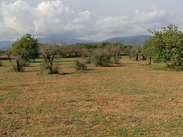 Solar/Parcela en venta en Llucmajor, Mallorca