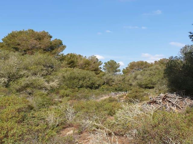Solar/Parcela en venta en Llucmajor, Mallorca