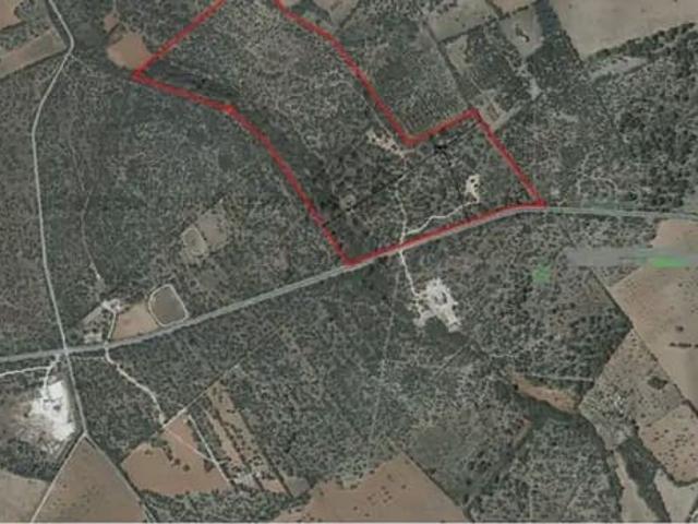 Solar/Parcela en venta en Llucmajor, Mallorca
