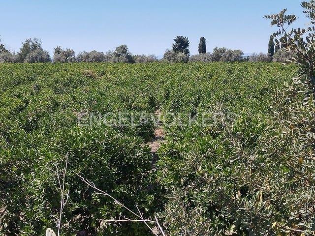 Solar/Parcela en venta en Llíria, Valencia