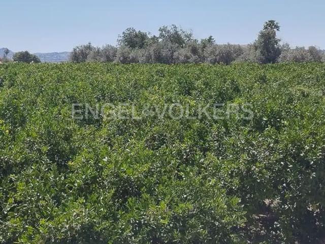Solar/Parcela en venta en Llíria, Valencia