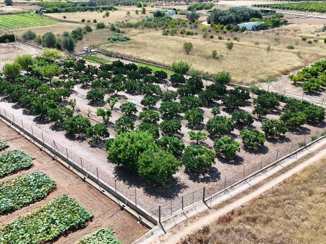 Solar/Parcela en venta en Llíria, Valencia