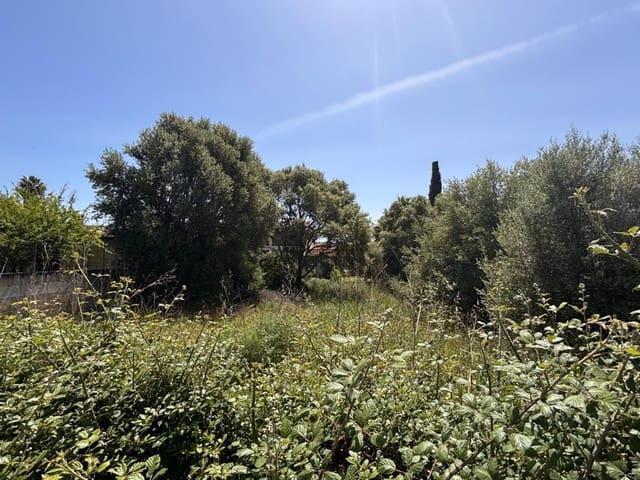Solar/Parcela en venta en Lloseta, Mallorca