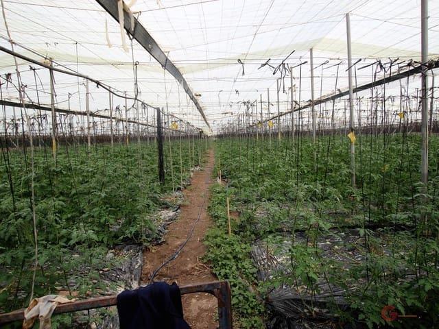 Solar/Parcela en venta en Motril, Granada Costa Tropical