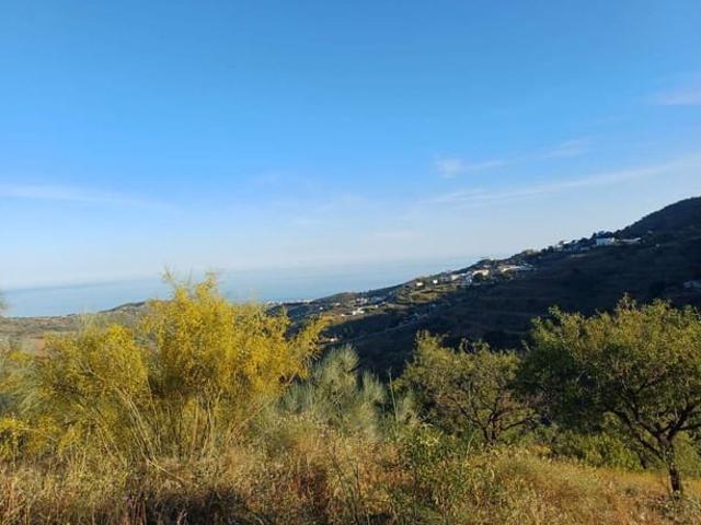 Solar/Parcela en venta en Moclinejo, Málaga Costa del Sol