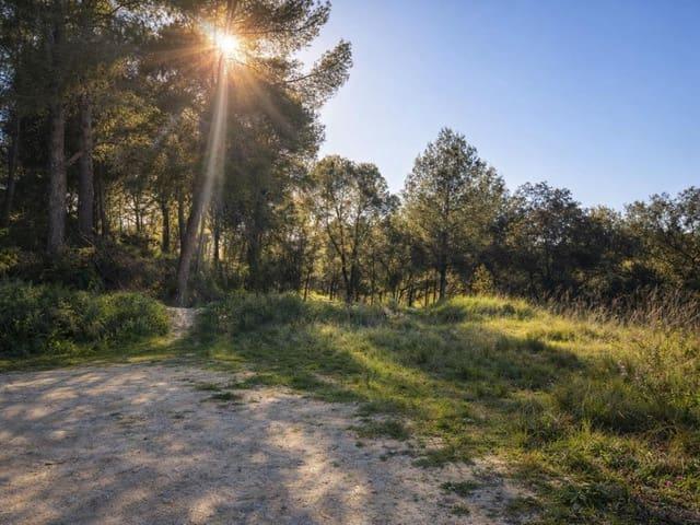 Solar/Parcela en venta en Montaverner, Valencia