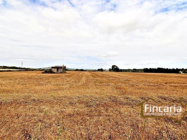 Terreno/Finca Rústica en venta en Manacor, Mallorca