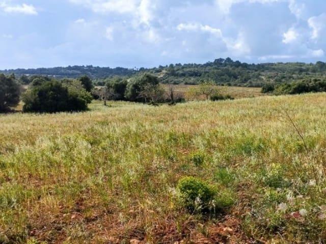 Solar/Parcela en venta en Manacor, Mallorca