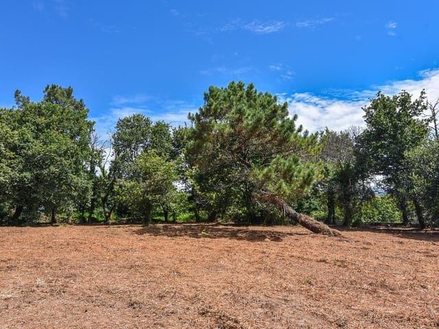 Solar/Parcela en venta en Marín, Pontevedra Rías Baixas