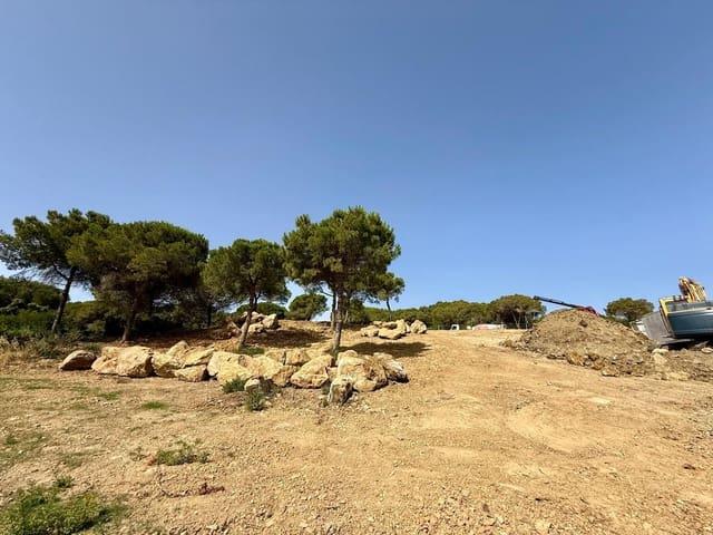 Solar/Parcela en venta en Sotogrande, Cádiz Costa de la Luz