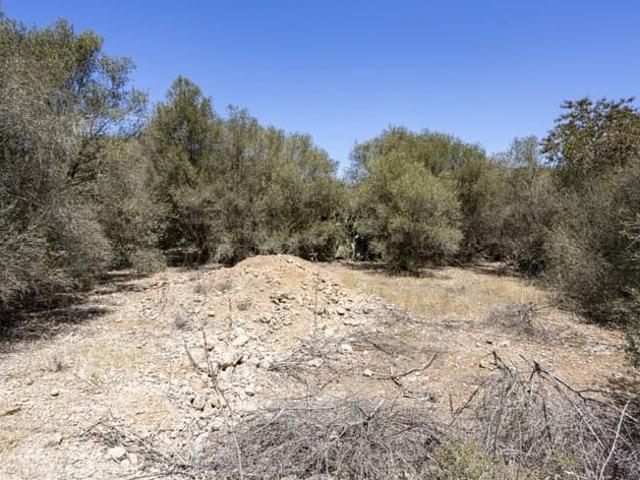 Solar/Parcela en venta en Sa Cabaneta / La Cabaneta, Mallorca