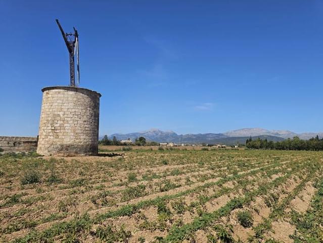 Solar/Parcela en venta en Sa Pobla, Mallorca