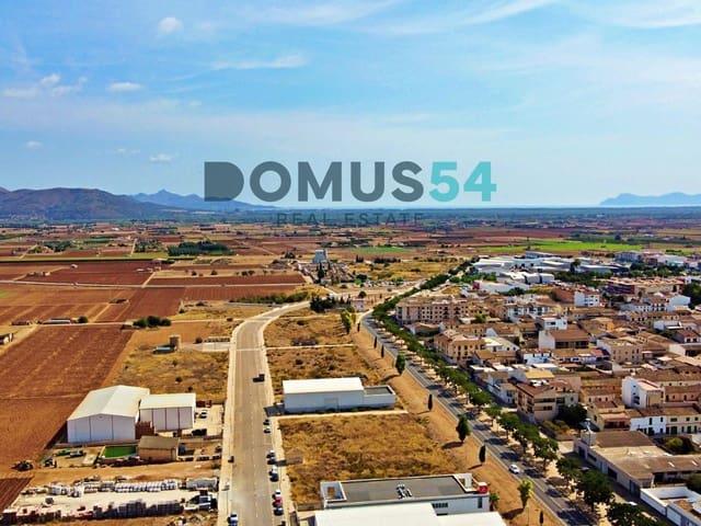 Solar/Parcela en venta en Sa Pobla, Mallorca