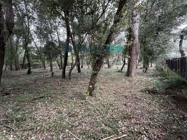 Solar/Parcela en venta en Sa Pobla, Mallorca