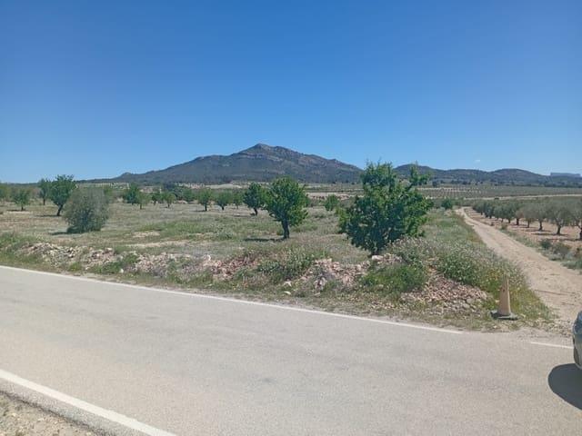 Solar/Parcela en venta en Salinas, Alicante
