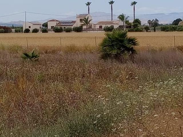 Solar/Parcela en venta en San Fulgencio, Alicante Costa Blanca