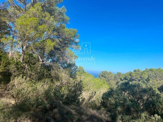 Solar/Parcela en venta en San Jose / Sant Josep de Sa Talaia, Ibiza
