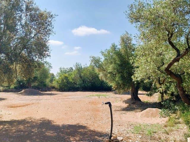 Solar/Parcela en venta en San Rafael del Rio / Sant Rafael del Riu, Castellón