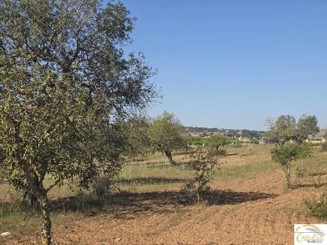 Solar/Parcela en venta en Sant Llorenç des Cardassar, Mallorca