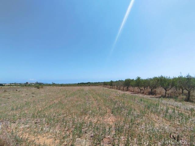 Solar/Parcela en venta en Santa Margalida, Mallorca