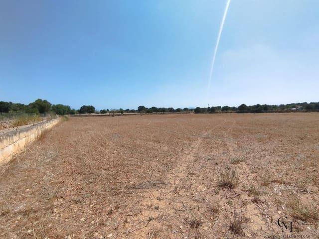Solar/Parcela en venta en Santa Margalida, Mallorca