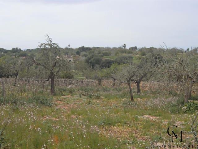 Solar/Parcela en venta en Santa Margalida, Mallorca
