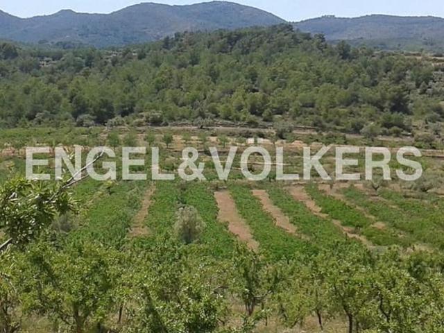 Solar/Parcela en venta en Segorbe, Castellón