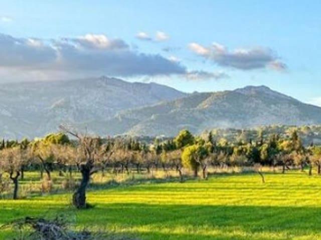 Solar/Parcela en venta en Selva, Mallorca