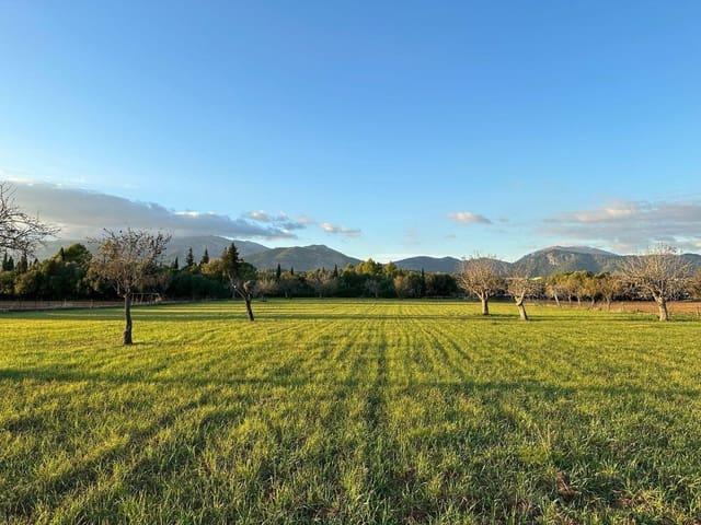 Solar/Parcela en venta en Selva, Mallorca