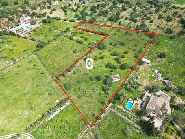 Solar/Parcela en venta en Selva, Mallorca