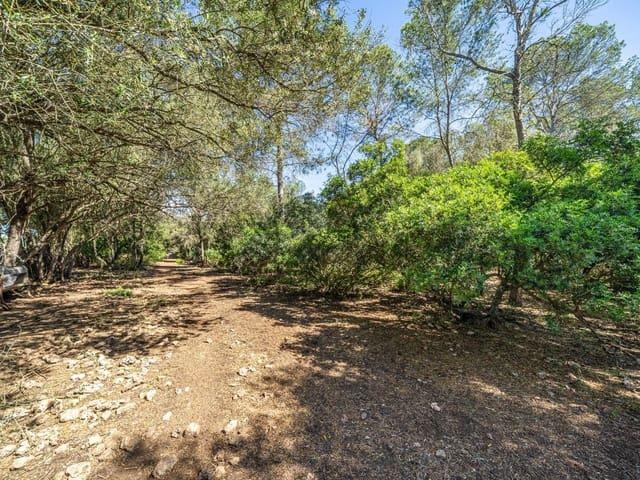 Solar/Parcela en venta en Sencelles, Mallorca
