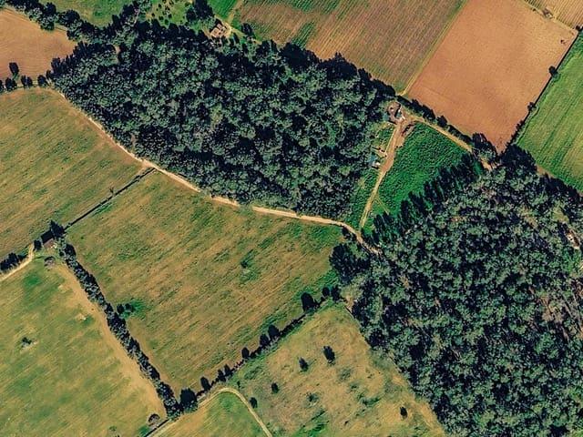 Solar/Parcela en venta en Sencelles, Mallorca
