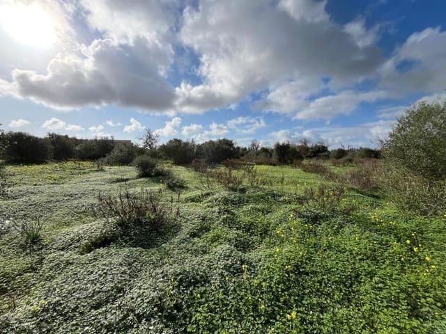 Solar/Parcela en venta en Ses Salines, Mallorca