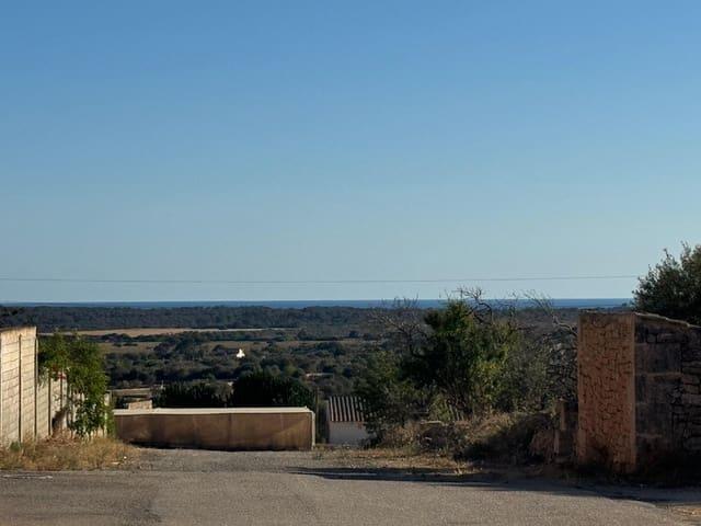 Solar/Parcela en venta en Ses Salines, Mallorca
