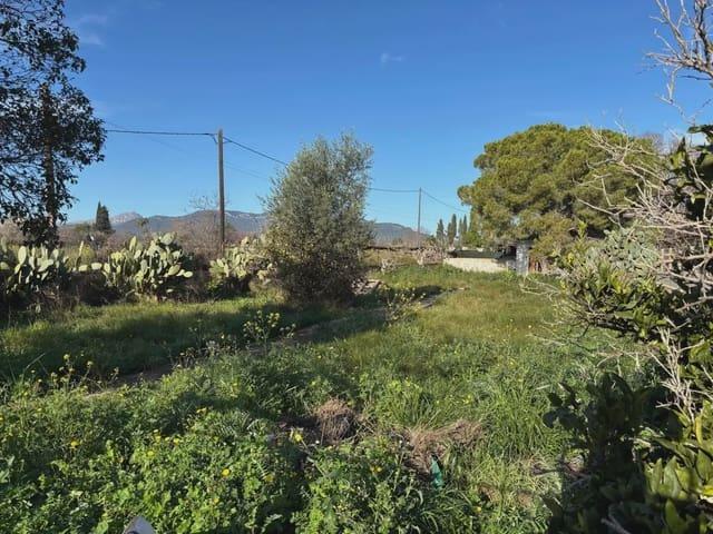 Solar/Parcela en venta en Palma de Mallorca, Mallorca