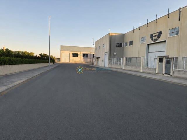 Solar/Parcela en venta en Palmera, Valencia Costa Valencia
