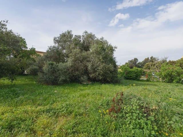 Solar/Parcela en venta en Pals, Girona Costa Brava
