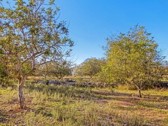 Solar/Parcela en venta en Parcent, Alicante Costa Blanca