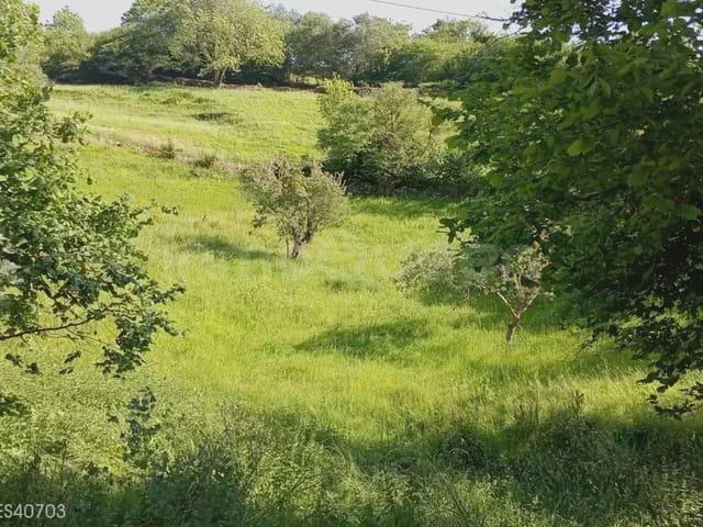 Solar/Parcela en venta en Peñamellera Baja, Asturias Costa Verde